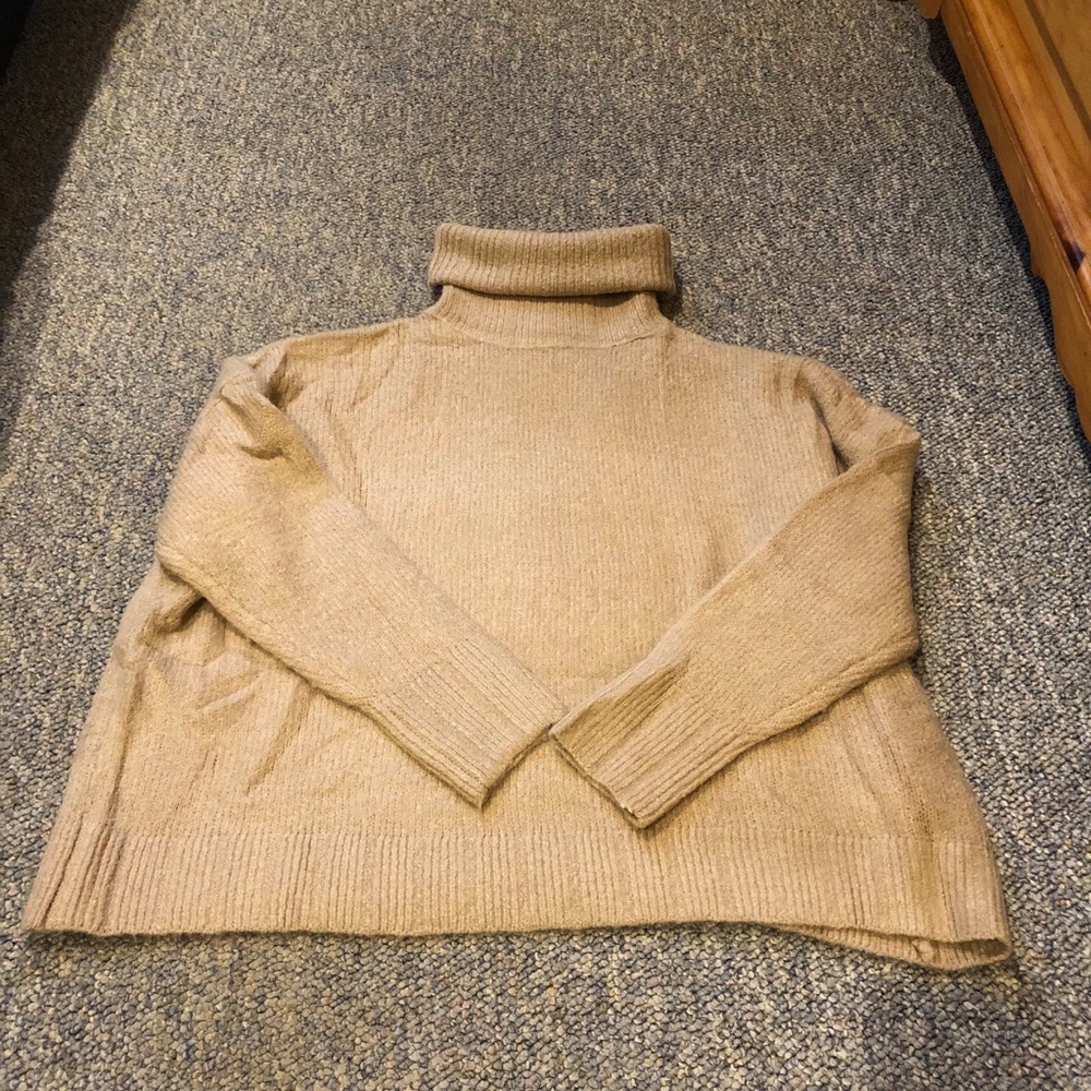 Turtleneck Sweater